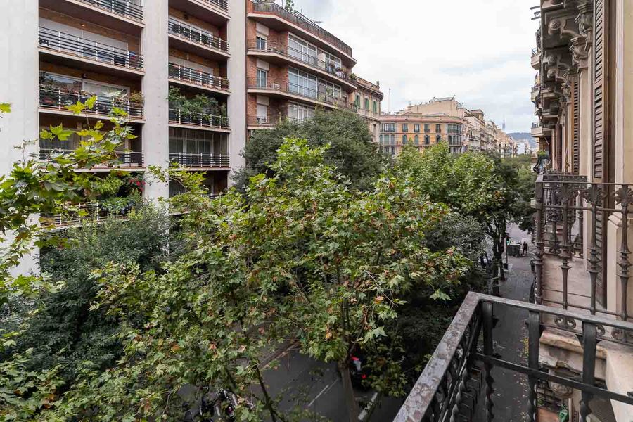 3-Bedroom 2-Bathroom Apartment - 223