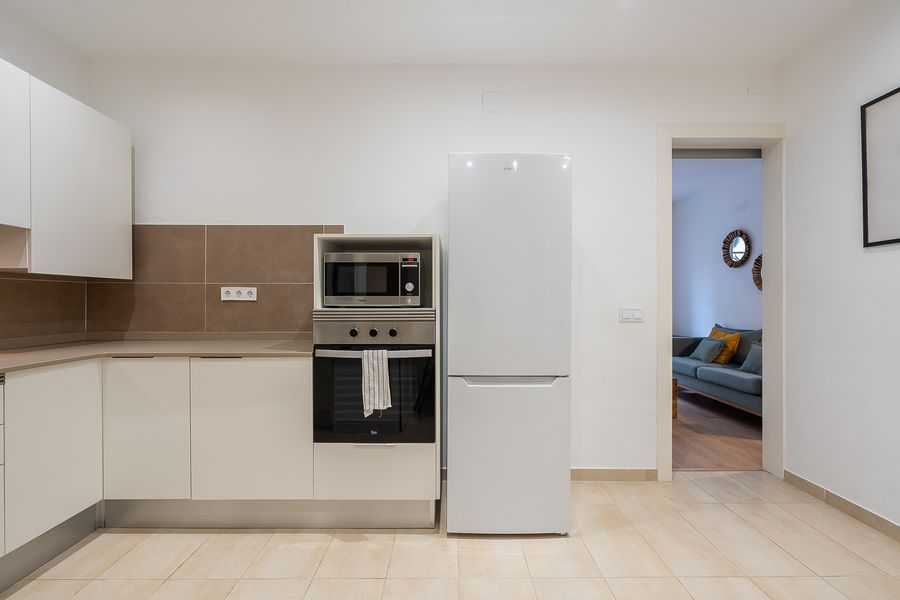 2-Bedroom 1-Bathroom Penthouse with Terrace - PRAL22