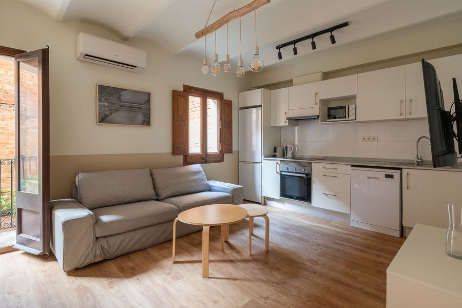 2-Bedroom 1-Bathroom Penthouse with Terrace - ENT11