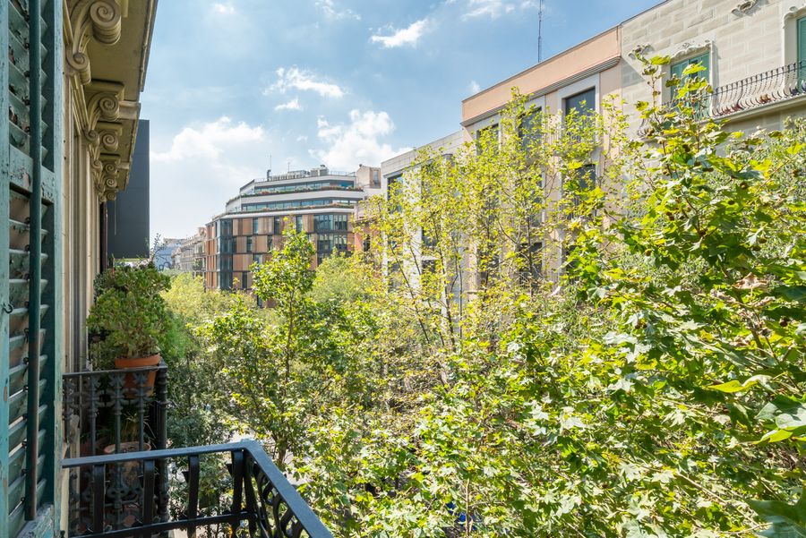 1-Bedroom Apartment - 233