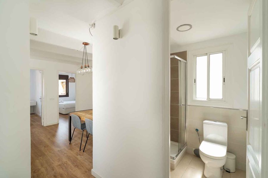 2-Bedroom 1-Bathroom Penthouse with Terrace - 527
