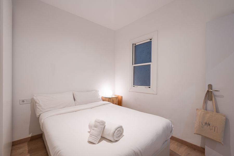 2-Bedroom 1-Bathroom Penthouse with Terrace - PRAL22