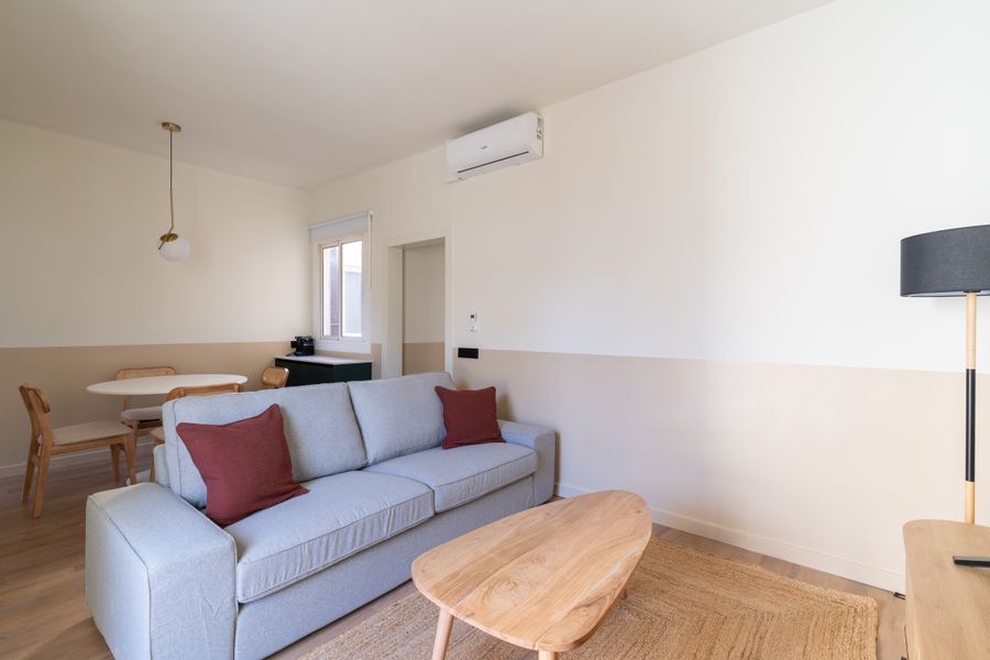1-Bedroom Penthouse with Terrace - 526