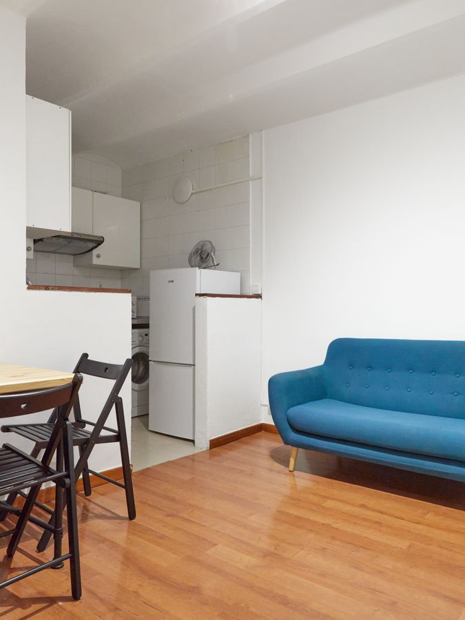 2-Bedroom 1-Bathroom Penthouse with Terrace - ENT21