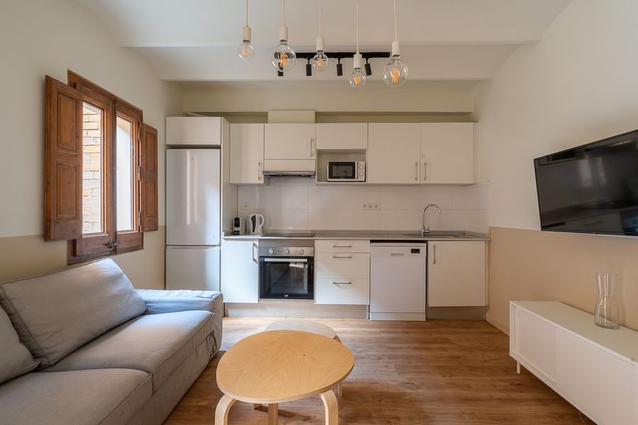 2-Bedroom 1-Bathroom Penthouse with Terrace - ENT11