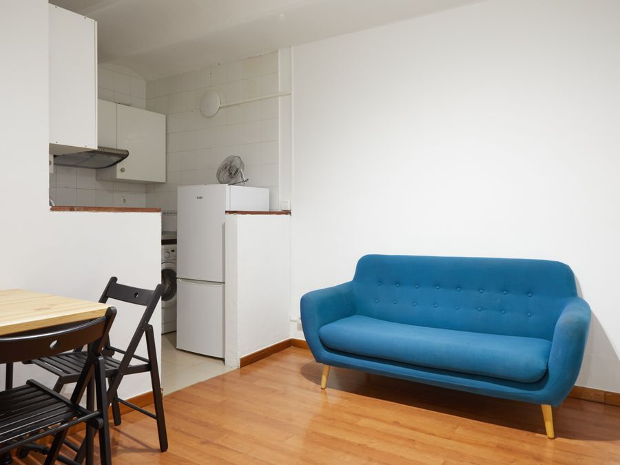 2-Bedroom 1-Bathroom Penthouse with Terrace - ENT21