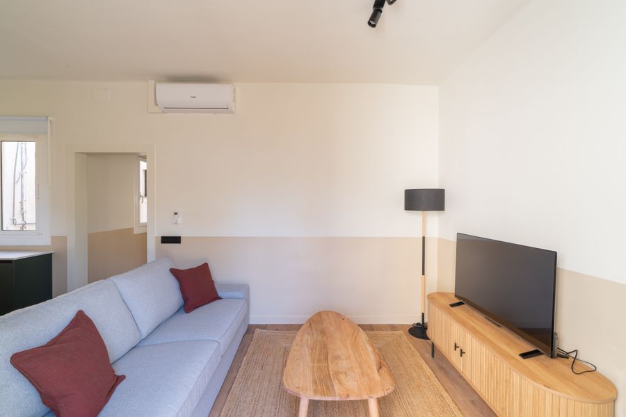 1-Bedroom Penthouse with Terrace - 526