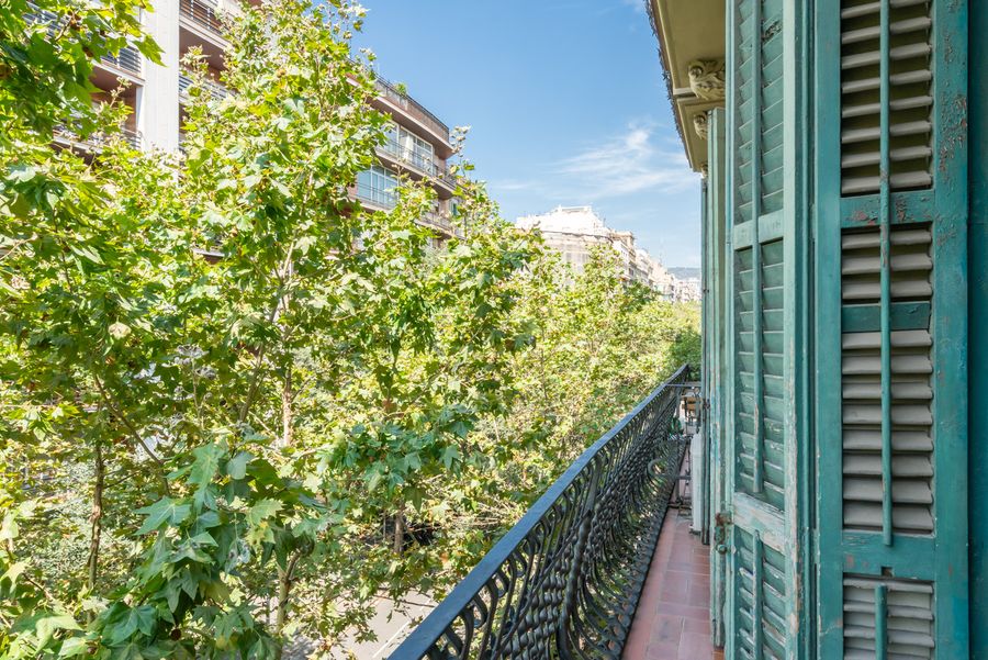 1-Bedroom Apartment - 233