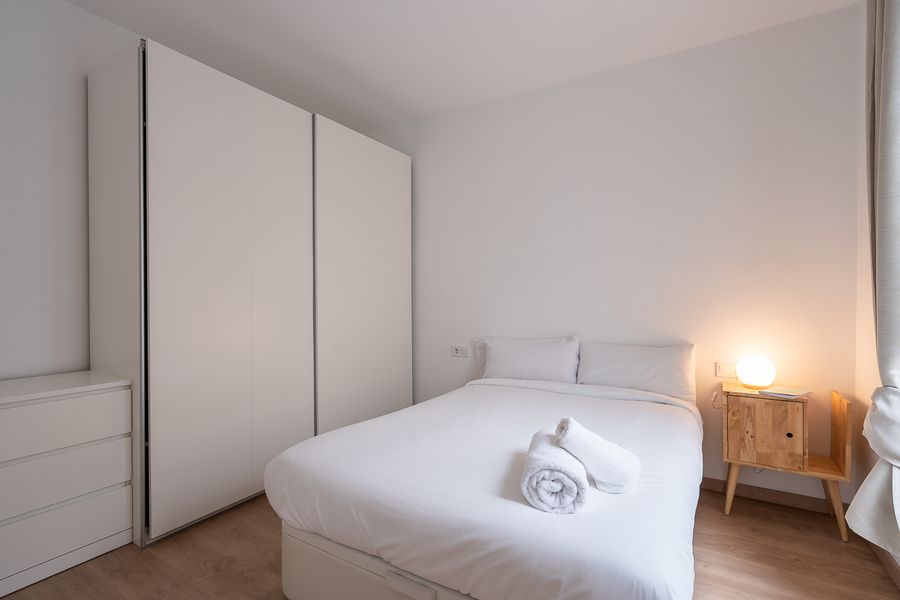 2-Bedroom 1-Bathroom Penthouse with Terrace - PRAL22